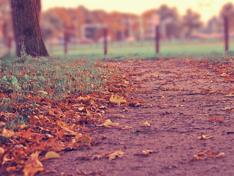 海外加速器VPN全球服务器覆盖地图